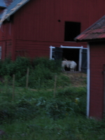 IMG_0492.JPG