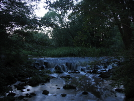 IMG_0512.JPG
