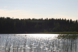 IMG_0961.jpg