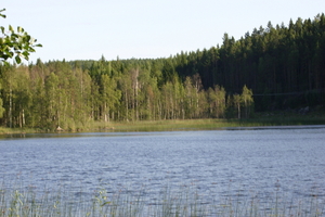 IMG_0981.jpg