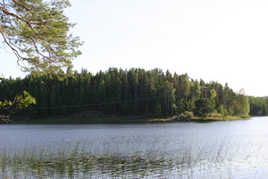 IMG_0989.jpg