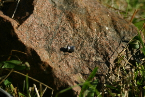 IMG_0997.jpg
