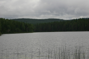 IMG_1957.jpg