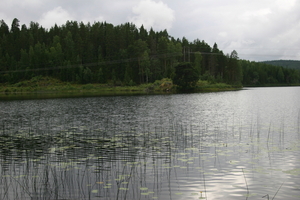 IMG_2001.jpg