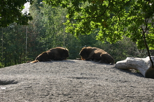 IMG_2325.JPG