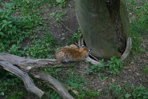IMG_2327.JPG