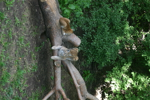 IMG_2335.JPG