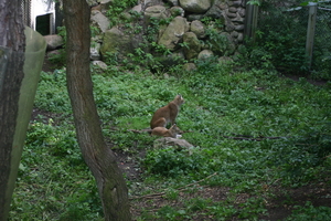 IMG_2336.JPG