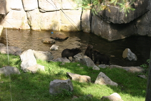 IMG_2343.JPG