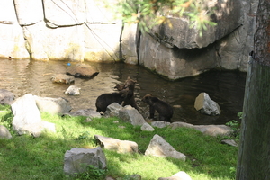 IMG_2344.JPG