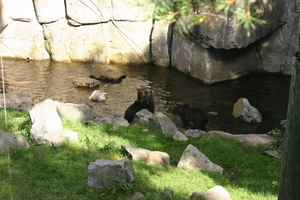 IMG_2345.JPG