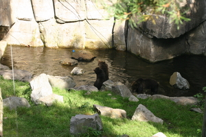 IMG_2346.JPG