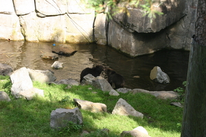 IMG_2348.JPG