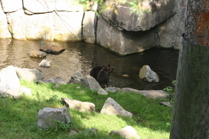 IMG_2349.JPG