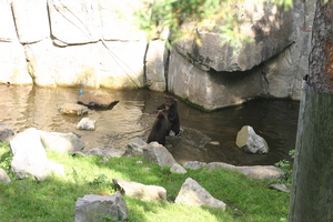 IMG_2350.JPG