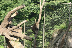 IMG_2353.JPG