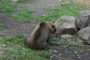 IMG_2357.JPG