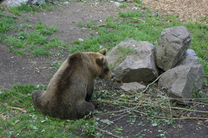 IMG_2358.JPG