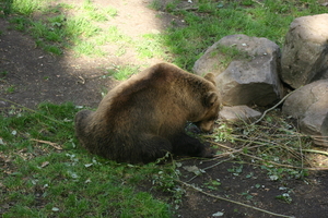 IMG_2359.JPG