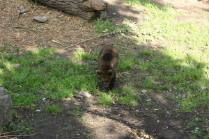IMG_2361.JPG
