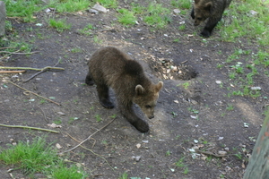 IMG_2362.JPG