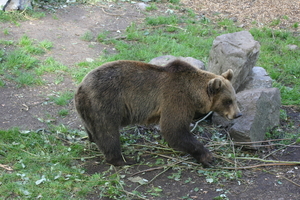 IMG_2363.JPG