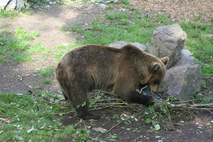 IMG_2364.JPG