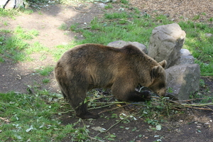 IMG_2365.JPG