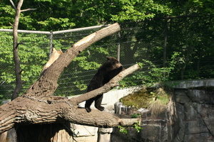 IMG_2366.JPG