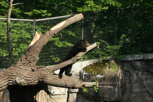 IMG_2368.JPG