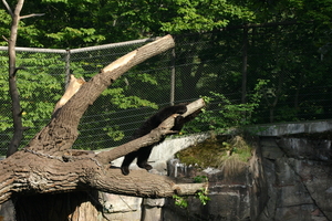 IMG_2370.JPG