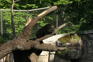 IMG_2371.JPG