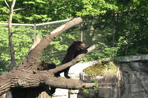 IMG_2372.JPG