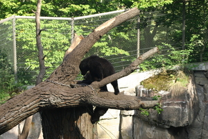 IMG_2373.JPG