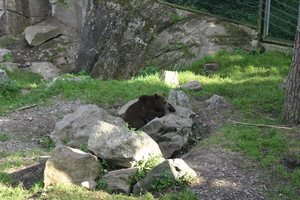 IMG_2374.JPG