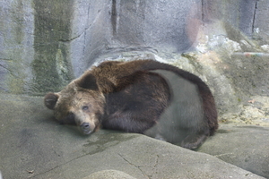 IMG_2377.JPG