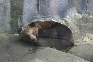 IMG_2378.JPG