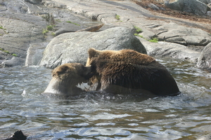 IMG_2383.JPG