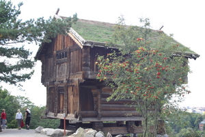 IMG_2384.JPG