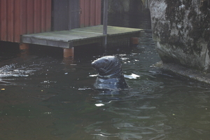 IMG_2399.JPG