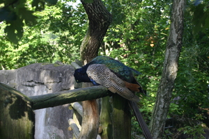 IMG_2408.JPG