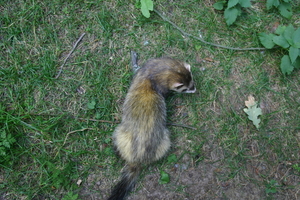 IMG_2416.JPG