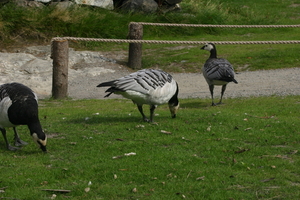 IMG_2420.JPG