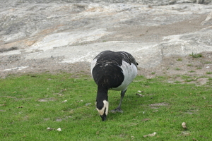 IMG_2423.JPG