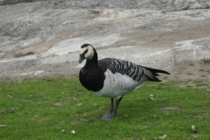 IMG_2425.JPG