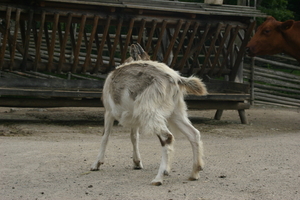 IMG_2430.JPG