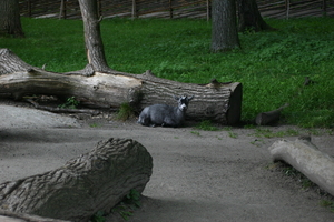 IMG_2454.JPG