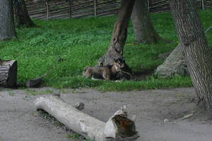 IMG_2455.JPG