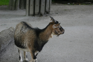 IMG_2462.JPG