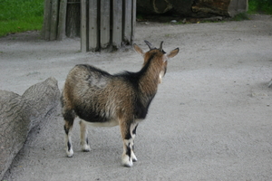 IMG_2463.JPG